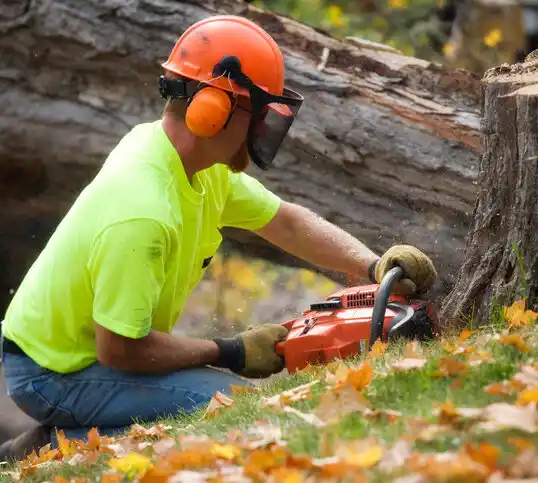 tree services Kenansville